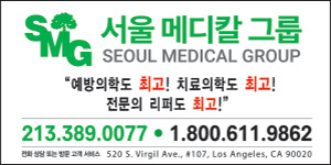 Seoul Medical Group 서울메디칼그룹
